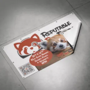A curled banner features a cartoon raccoon and a dog picture with text